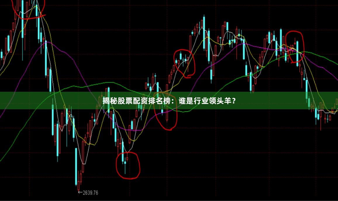 揭秘股票配资排名榜：谁是行业领头羊？