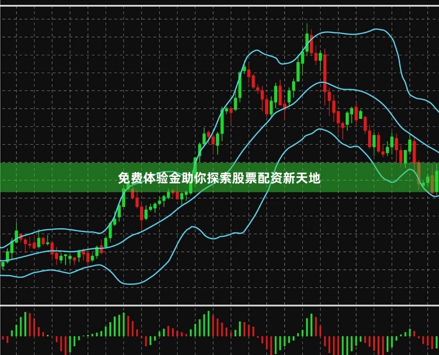 免费体验金助你探索股票配资新天地